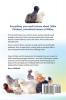 Silkie Chickens Care Breeding Eggs Raising Welfare and Keeping Them Happy: Bearded Non Bearded Bantoms Buying as Pets Black White Japanese Chinese and Much More
