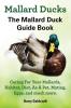 Mallard Ducks The Mallard Duck Complete Guide Book Caring For Your Mallards Habitat Diet
