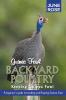 Guinea Fowl Backyard Poultry