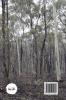Artist Spaces Of The Victorian Goldfields