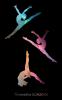 Gymnastics Goalbook (galaxy cover #7): Wag: 10 (Gymnastics Goalbooks)
