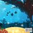 Les aventures Toutu et Toula: Noel: 2