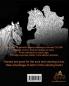 Enchanting Equines