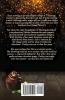Witch Chocolate Fudge