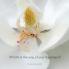 What's in the Way of Your Happiness?: How to break free from annoying relationships jobs and unexpected life circumstances