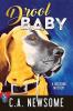 Drool Baby: A Dog Park Mystery: 2 (Lia Anderson Dog Park Mysteries)