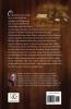 The Amish Princess: The Paradise Chronicles: 2