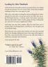 Looking for John Steinbeck - a novel: Based on the fictional journals of Stefani Michel: 1 (Lavandula)