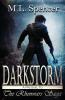 Darkstorm: 0 (Rhenwars Saga)