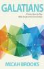 Galatians: A Fresh New Six Day Bible Study and Commentary: 2 (Everyday Bible)