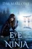 Eye of the Ninja: 1 (Eye of the Ninja Chronicles)