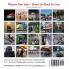 Western New York - There's So Much To Love: Photography by Dr. Mark Donnelly and more than a dozen top photographers