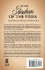 In The Shadows Of The Pines