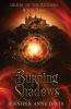Burning Shadows: Order of the Krigers Book 2