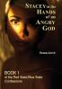 Stacey in the Hands of an Angry God: 1 (The Red State - Blue State Confessions)