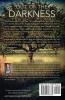 Out of the Darkness: Book 5 of The Light Series