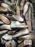Footwear Pattern Making and Last Design