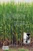 Just Rhymes: A Collection of Poems by E. L. Sawyer