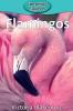 Flamingos: 3 (Elementary Explorers)