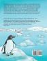 Who Can Save the North Pole?