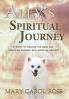 Ally's Spiritual Journey: A Story of Beating the Odds and Surviving Surgery with Spiritual Healing