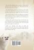 Ally's Spiritual Journey: A Story of Beating the Odds and Surviving Surgery with Spiritual Healing
