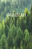 Obadiah Bible Journal