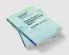 Public Finance with Behavioural Agents