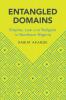 Entangled Domains