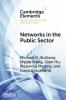 Networks in the Public Sector