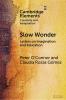 Slow Wonder
