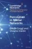 Percolation in Spatial Networks