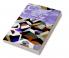 Cambridge Companion to American Poetry and Politics since 1900