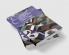 Cambridge Companion to American Poetry and Politics since 1900
