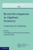Recent Developments in Algebraic Geometry