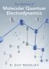Foundations of Molecular Quantum Electrodynamics
