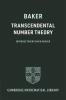 Transcendental Number Theory