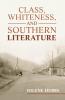 Class Whiteness and Southern Literature