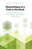 Mozambique at a Fork in the Road