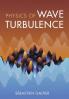 Physics of Wave Turbulence