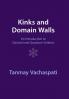 Kinks and Domain Walls