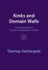 Kinks and Domain Walls