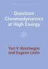 Quantum Chromodynamics at High Energy