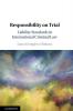 Responsibility on Trial