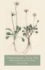 Wordsworth After War