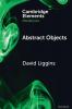 Abstract Objects