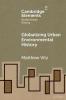 Globalizing Urban Environmental History