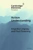 Action Understanding