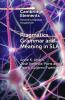Pragmatics Grammar and Meaning in SLA