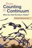 From Counting to Continuum